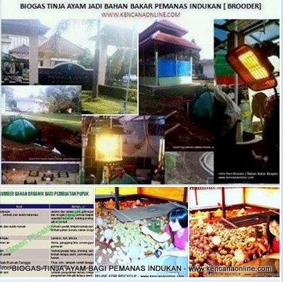 Biogas Tinja4